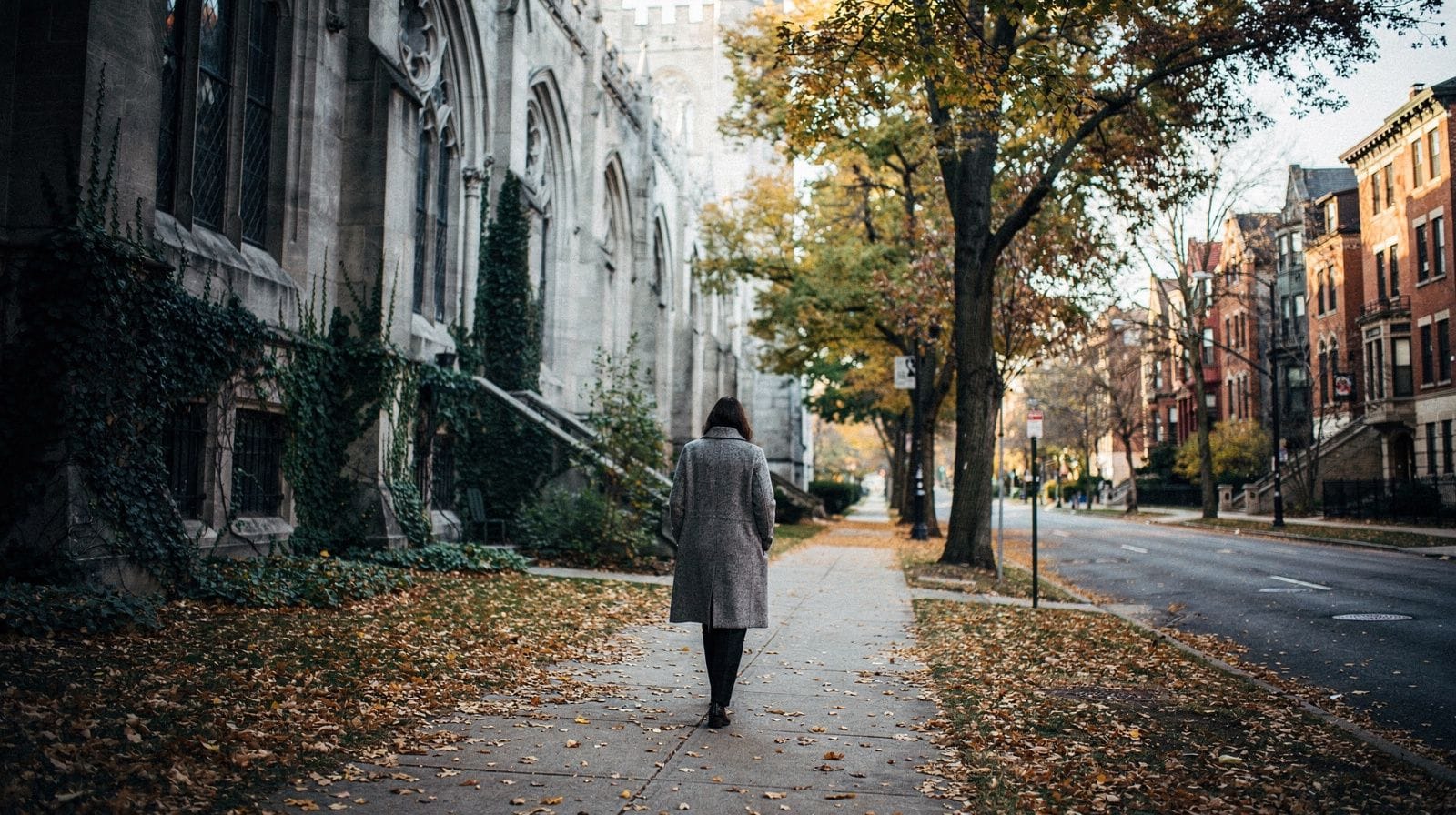 Guide de visite à pied du campus universitaire de Hyde Park
