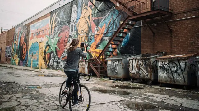 Offbeat street art tours in Chicago